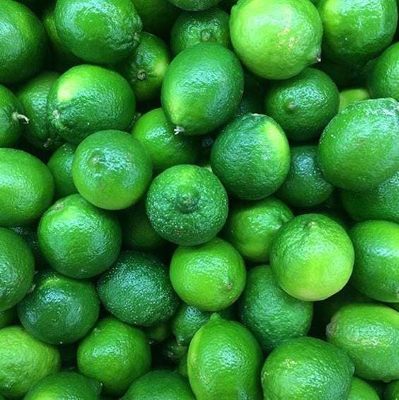 Fresh Seedless Limes from Vietnam